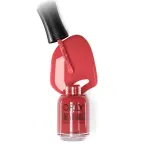 Beauty Essential